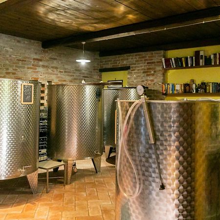 Ca Trifolera Barbaresco - Romantico Cascinale Con Antica Cantina Nel Cuore Delle Langhe - Degustazione Vini Nella Nostra Cantina Екстер'єр фото