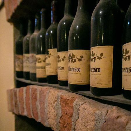 Ca Trifolera Barbaresco - Romantico Cascinale Con Antica Cantina Nel Cuore Delle Langhe - Degustazione Vini Nella Nostra Cantina Екстер'єр фото