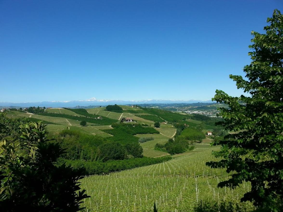 Ca Trifolera Barbaresco - Romantico Cascinale Con Antica Cantina Nel Cuore Delle Langhe - Degustazione Vini Nella Nostra Cantina Екстер'єр фото
