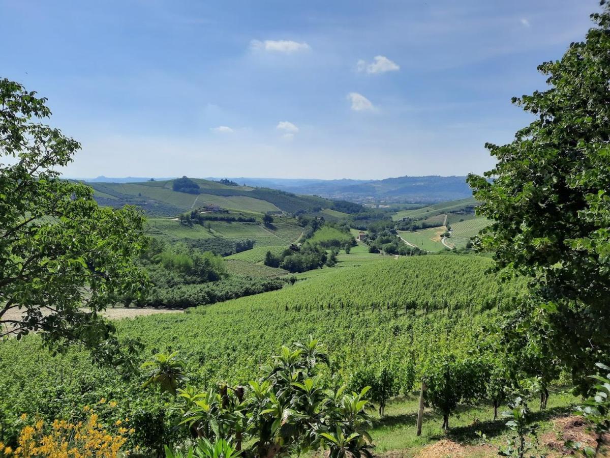 Ca Trifolera Barbaresco - Romantico Cascinale Con Antica Cantina Nel Cuore Delle Langhe - Degustazione Vini Nella Nostra Cantina Екстер'єр фото