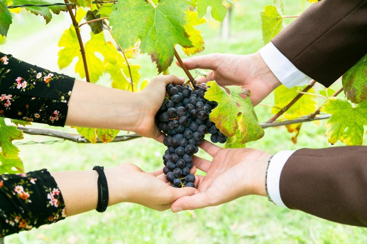Ca Trifolera Barbaresco - Romantico Cascinale Con Antica Cantina Nel Cuore Delle Langhe - Degustazione Vini Nella Nostra Cantina Екстер'єр фото