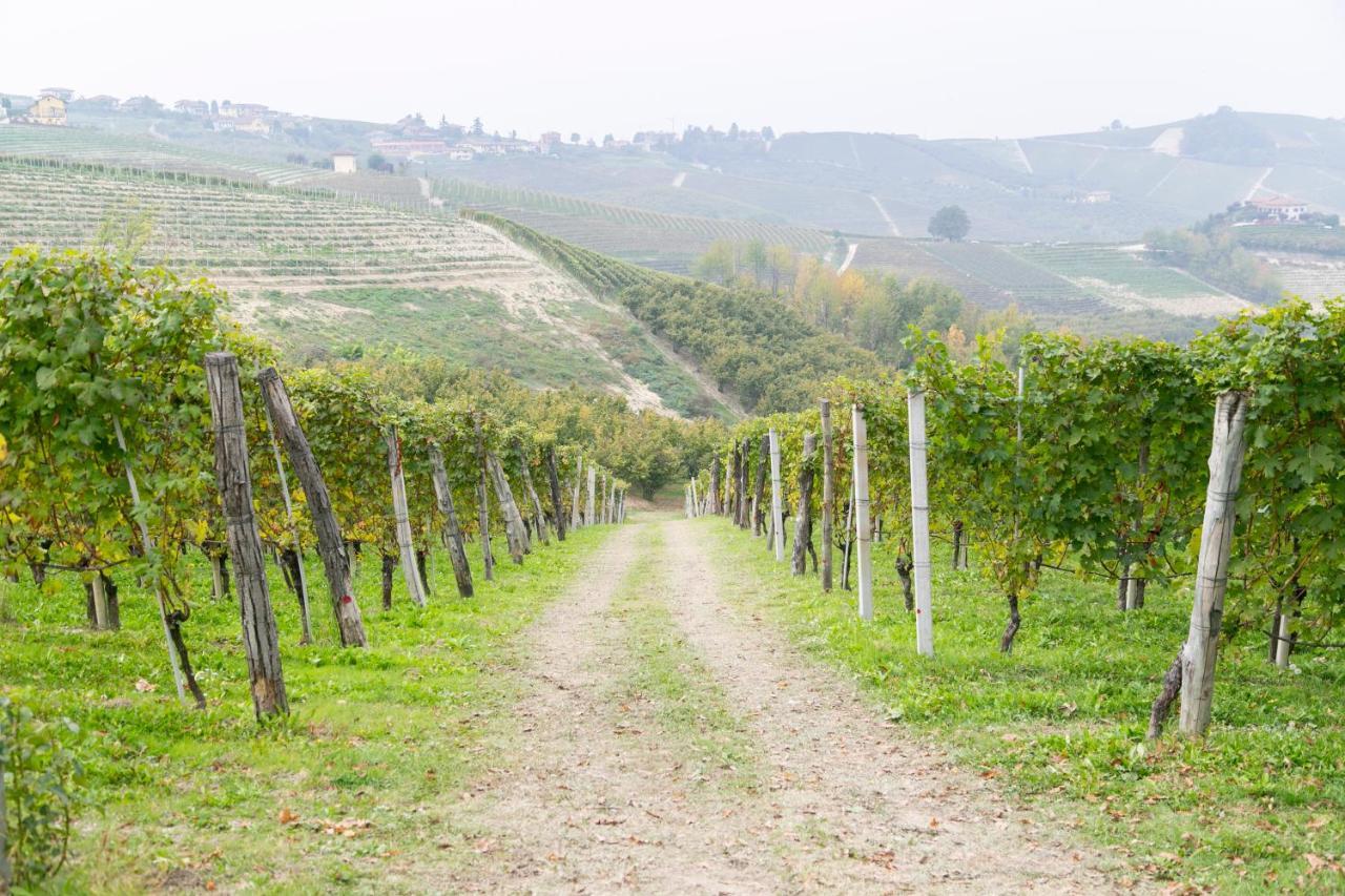 Ca Trifolera Barbaresco - Romantico Cascinale Con Antica Cantina Nel Cuore Delle Langhe - Degustazione Vini Nella Nostra Cantina Екстер'єр фото