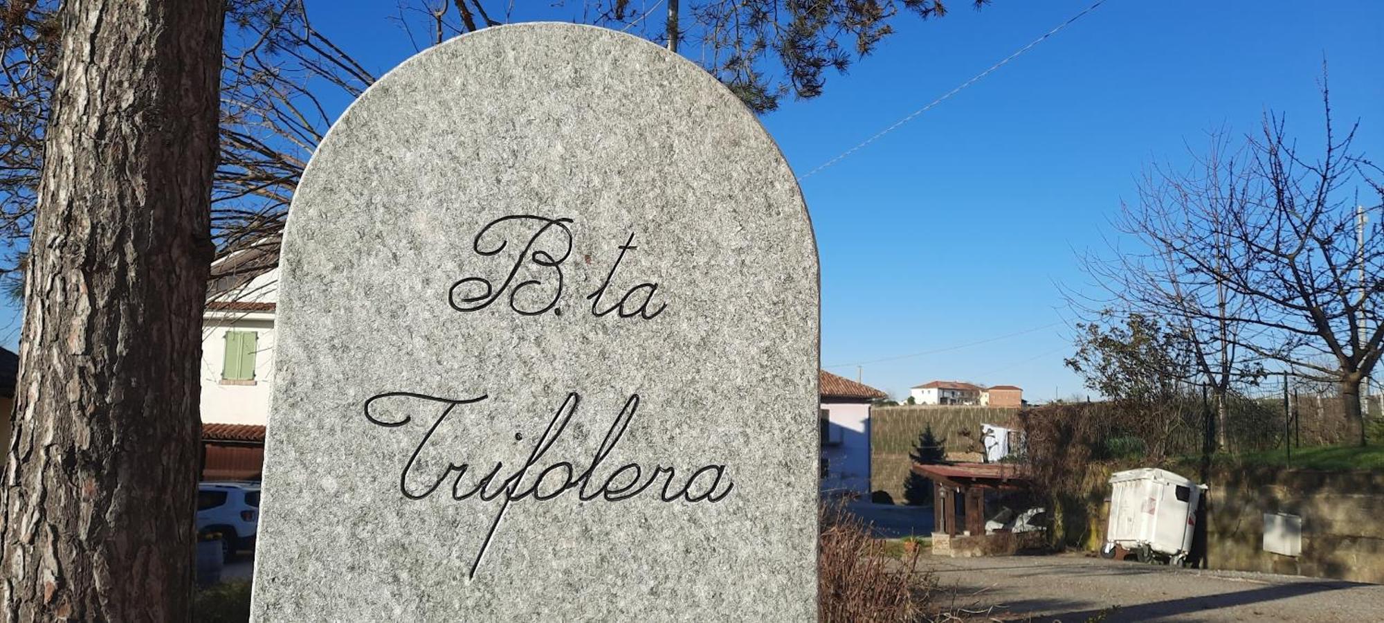 Ca Trifolera Barbaresco - Romantico Cascinale Con Antica Cantina Nel Cuore Delle Langhe - Degustazione Vini Nella Nostra Cantina Екстер'єр фото