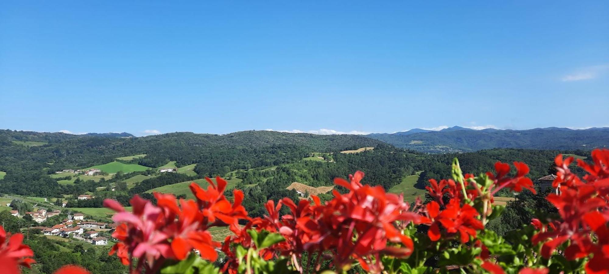 Ca Trifolera Barbaresco - Romantico Cascinale Con Antica Cantina Nel Cuore Delle Langhe - Degustazione Vini Nella Nostra Cantina Екстер'єр фото