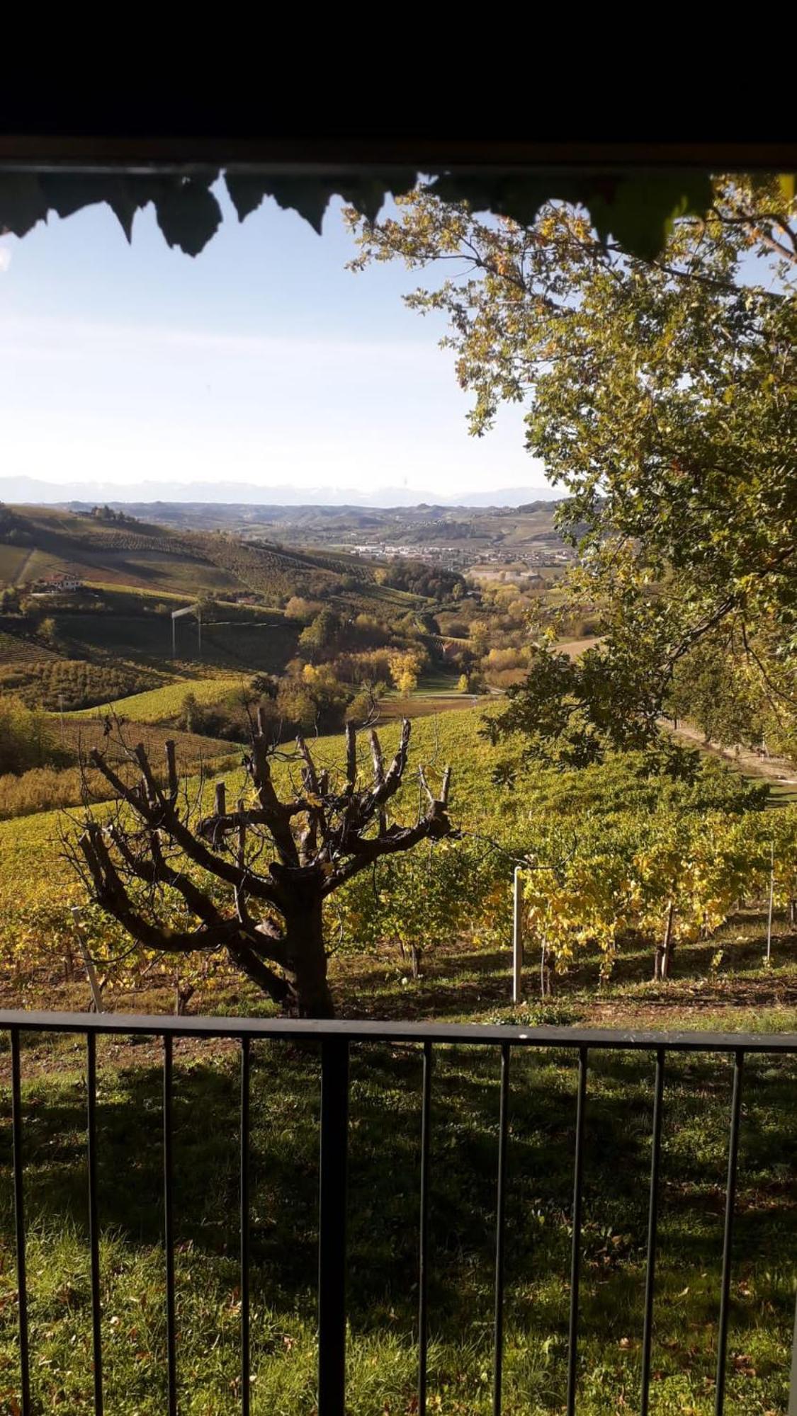 Ca Trifolera Barbaresco - Romantico Cascinale Con Antica Cantina Nel Cuore Delle Langhe - Degustazione Vini Nella Nostra Cantina Екстер'єр фото