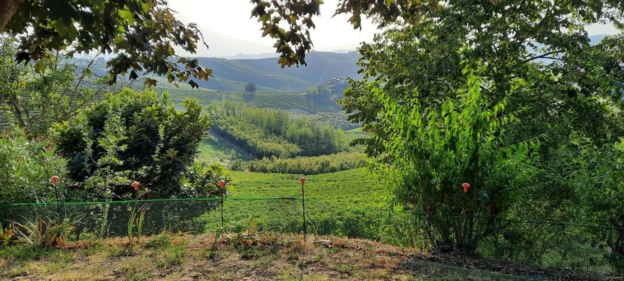 Ca Trifolera Barbaresco - Romantico Cascinale Con Antica Cantina Nel Cuore Delle Langhe - Degustazione Vini Nella Nostra Cantina Екстер'єр фото