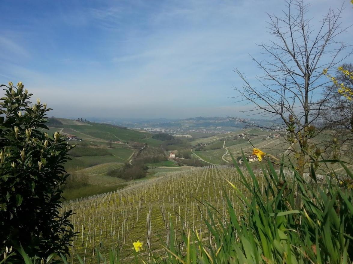 Ca Trifolera Barbaresco - Romantico Cascinale Con Antica Cantina Nel Cuore Delle Langhe - Degustazione Vini Nella Nostra Cantina Екстер'єр фото