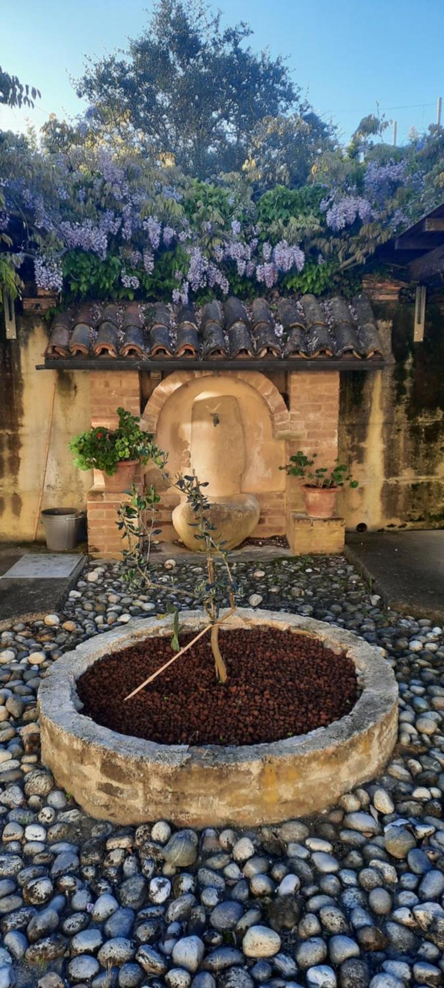 Ca Trifolera Barbaresco - Romantico Cascinale Con Antica Cantina Nel Cuore Delle Langhe - Degustazione Vini Nella Nostra Cantina Екстер'єр фото