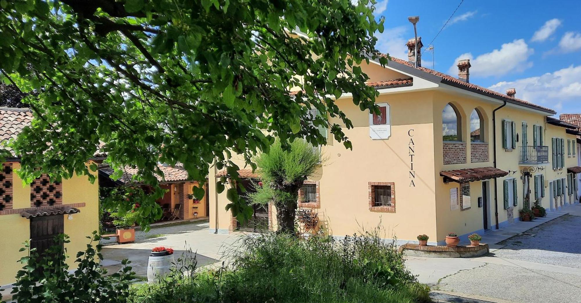 Ca Trifolera Barbaresco - Romantico Cascinale Con Antica Cantina Nel Cuore Delle Langhe - Degustazione Vini Nella Nostra Cantina Екстер'єр фото