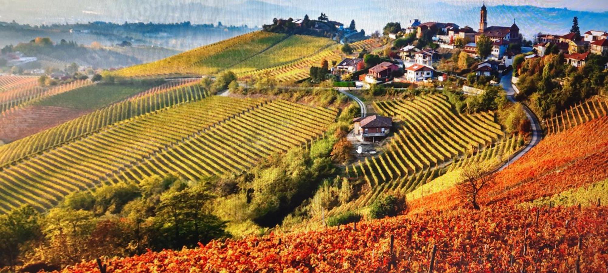 Ca Trifolera Barbaresco - Romantico Cascinale Con Antica Cantina Nel Cuore Delle Langhe - Degustazione Vini Nella Nostra Cantina Екстер'єр фото