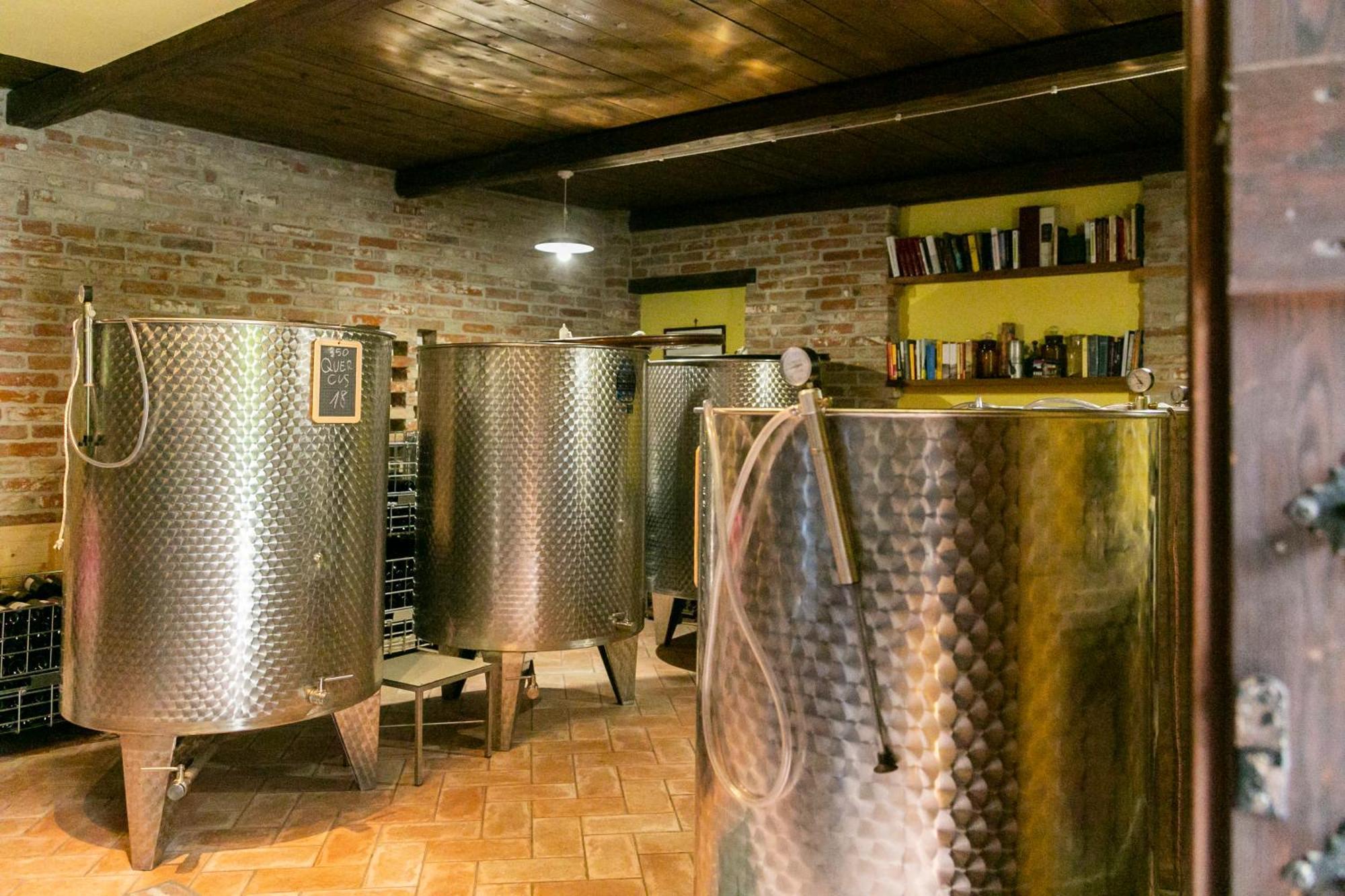 Ca Trifolera Barbaresco - Romantico Cascinale Con Antica Cantina Nel Cuore Delle Langhe - Degustazione Vini Nella Nostra Cantina Екстер'єр фото