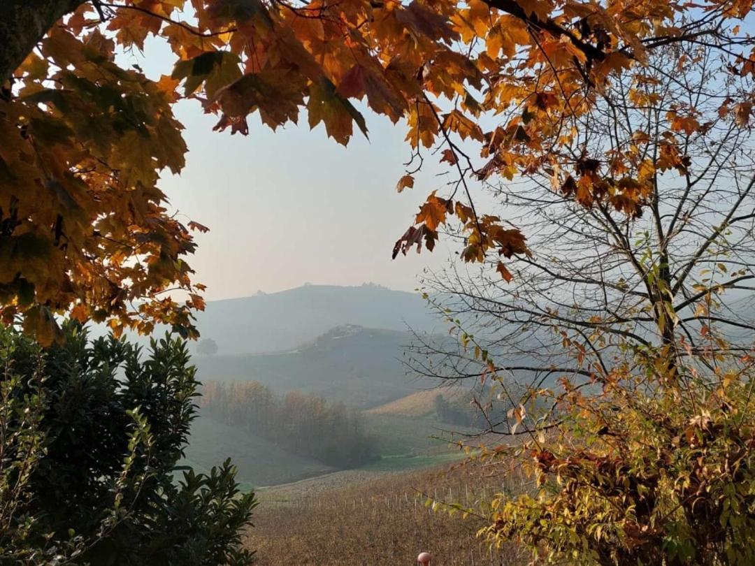 Ca Trifolera Barbaresco - Romantico Cascinale Con Antica Cantina Nel Cuore Delle Langhe - Degustazione Vini Nella Nostra Cantina Екстер'єр фото